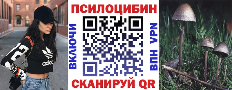 Псилоцибиновые грибы мицелий  Купить  Миллерово 